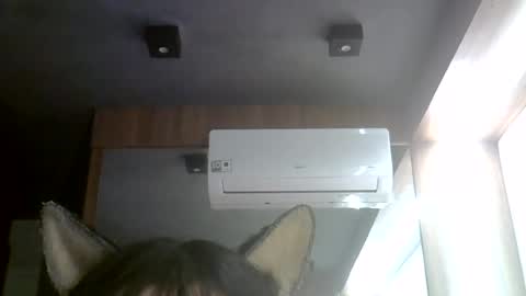 skinnykittencam online show from July 28, 2026, 6:20 am