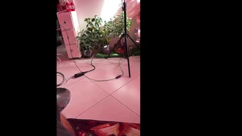 skinnylatin69 online show from January 6, 2025, 8:50 pm