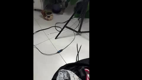 skinnylatin69 online show from January 20, 2025, 2:32 am