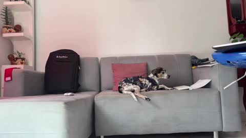 skinnylatin69 online show from January 31, 2025, 6:36 pm