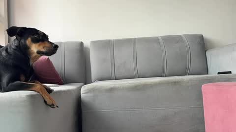 skinnylatin69 online show from February 3, 2025, 6:17 pm