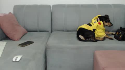 skinnylatin69 online show from February 8, 2025, 2:26 am