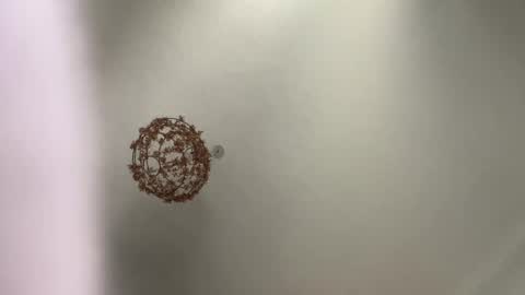 skuzzy25 online show from March 3, 2025, 8:49 am