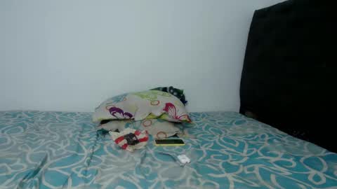 Snapshot of skynataly chatting on December 24, 2024, 9:50 am skynata online show from December 24, 2024, 9:50 am