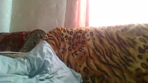 skyressie333 online show from June 19, 2026, 7:56 am