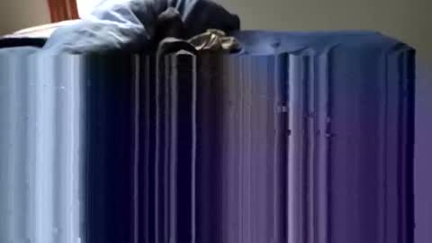 Snapshot of slappincheeks299 chatting on October 28, 2025, 10:23 pm slappincheeks299 online show from October 28, 2025, 10:23 pm