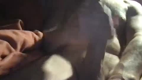 Snapshot of slienthear83 chatting on January 14, 2025, 6:34 am slienthear83 online show from January 14, 2025, 6:34 am