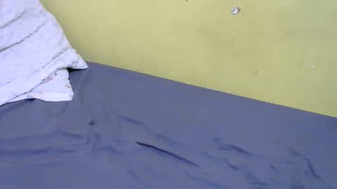 slim_bonny254 online show from December 17, 2025, 9:26 am