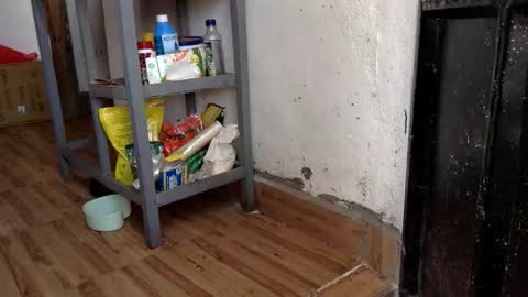 Skillibengisaadboy online show from February 7, 2026, 7:23 am