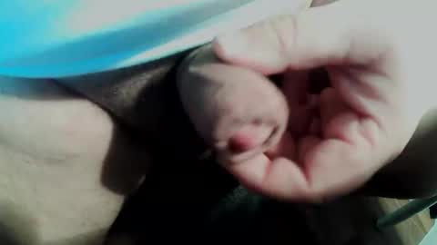 Small Pekka online show from February 11, 2026, 3:50 pm