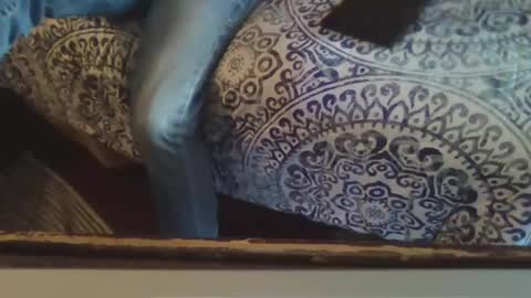 Snapshot of smithology chatting on February 20, 2025, 10:26 pm Smithology online show from February 20, 2025, 10:26 pm