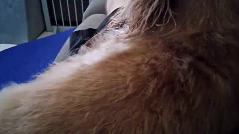 Snapshot of smokynight chatting on September 26, 2025, 8:57 pm smokynight online show from September 26, 2025, 8:57 pm