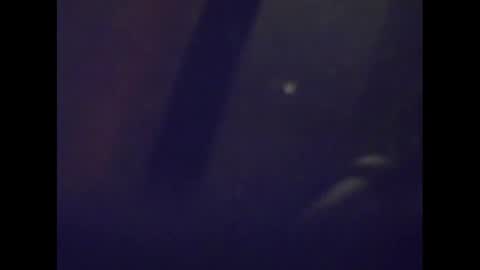 Snapshot of snake1583 chatting on January 15, 2025, 5:08 am Mark online show from January 15, 2025, 5:08 am