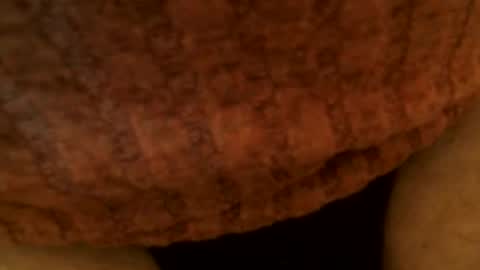 Snapshot of snakepit31 chatting on March 2, 2025, 6:51 pm Sissy Boy online show from March 2, 2025, 6:51 pm