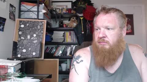 Snapshot of snidelywhipsass chatting on February 19, 2025, 4:55 am Snidely Whipsass online show from February 19, 2025, 4:55 am