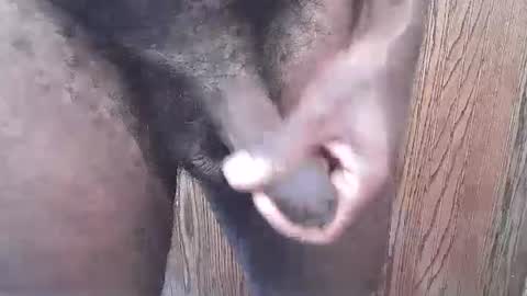 Snapshot of snkr1244 chatting on September 13, 2025, 6:29 pm snkr1244 online show from September 13, 2025, 6:29 pm