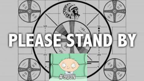 kitten online show from January 6, 2025, 8:18 pm