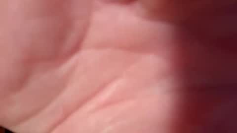 Snapshot of snooty05 chatting on February 10, 2025, 10:51 pm Snooty online show from February 10, 2025, 10:51 pm