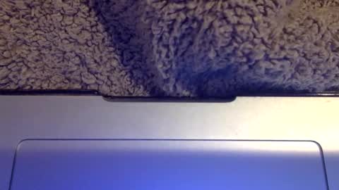 Snapshot of snowpapi79260 chatting on January 21, 2025, 8:52 am snowpapi79260 online show from January 21, 2025, 8:52 am