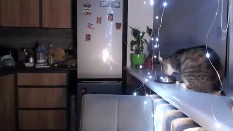 Sofi online show from January 19, 2025, 10:39 pm