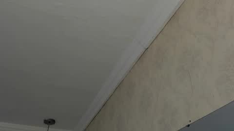 Sofi - next broadcast today 1030pm Colombia time online show from February 26, 2025, 4:47 am