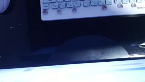 Snapshot of sofianix chatting on January 13, 2025, 6:06 am SOFIA NIX online show from January 13, 2025, 6:06 am