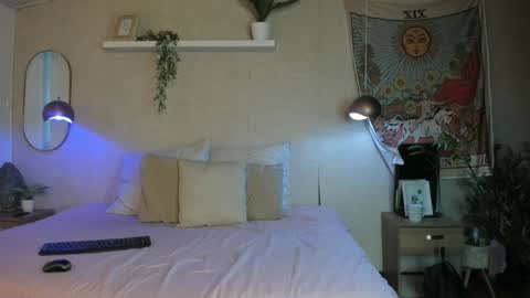 Snapshot of sofii_wild chatting on May 20, 2026, 11:49 am sofii_wild online show from May 20, 2026, 11:49 am