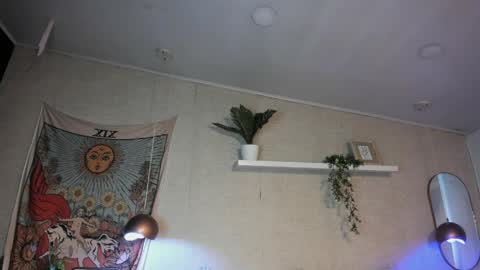 Snapshot of sofii_wild chatting on May 30, 2026, 12:13 pm sofii_wild online show from May 30, 2026, 12:13 pm