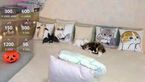 Snapshot of soft_purr_kitty chatting on October 31, 2025, 7:37 pm Mia online show from October 31, 2025, 7:37 pm