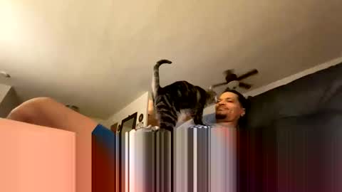 soharddr online show from October 14, 2025, 10:27 am