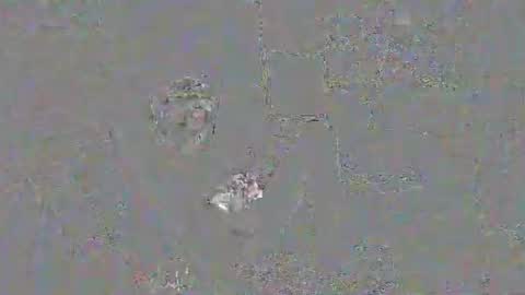 solilay online show from March 29, 2026, 2:28 pm