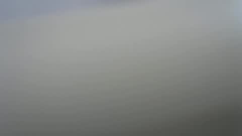 solitariodf2022 online show from January 19, 2026, 3:38 pm