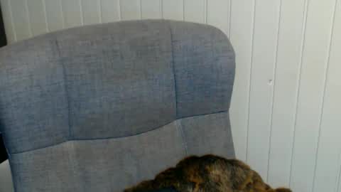 Snapshot of sonjairene chatting on January 8, 2025, 3:51 am sonjairene online show from January 8, 2025, 3:51 am