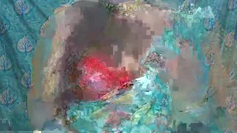 Sophia Tamil online show from February 10, 2025, 9:47 am