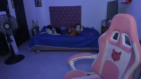 sophie doll online show from June 25, 2026, 2:33 am