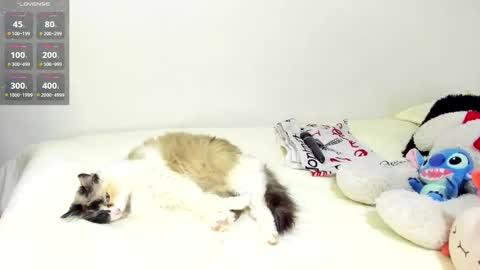 sophiebaker__ online show from September 20, 2025, 1:50 am