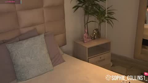 Sophie online show from June 30, 2026, 11:55 am