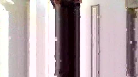 Sorfo online show from January 15, 2026, 10:31 am