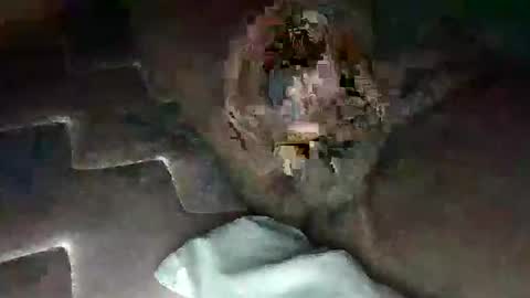 source1012 online show from January 11, 2025, 5:31 am