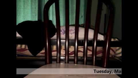 Snapshot of space_dog25 chatting on March 3, 2026, 5:24 am space Dog25 online show from March 3, 2026, 5:24 am