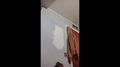 spanishalex0316 online show from February 20, 2026, 6:59 am