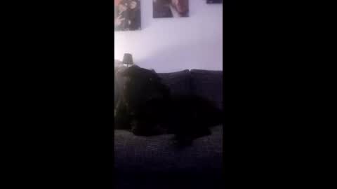 spermaking854897 online show from March 14, 2026, 4:07 am