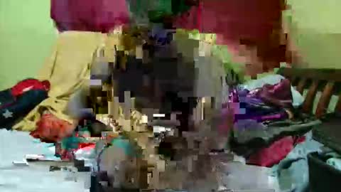 spicy_bella69 online show from May 17, 2026, 12:01 pm