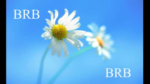 Snapshot of sport_tall_karina chatting on February 28, 2025, 8:31 am Karina online show from February 28, 2025, 8:31 am