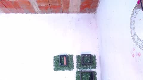 valeria online show from January 13, 2025, 12:19 am