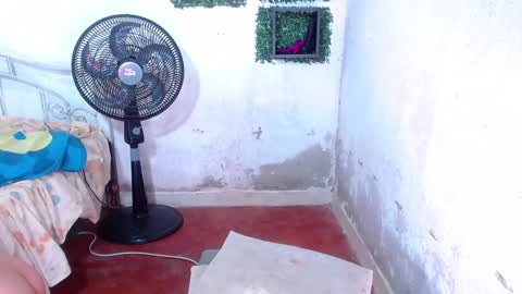 valeria online show from January 15, 2025, 12:41 am