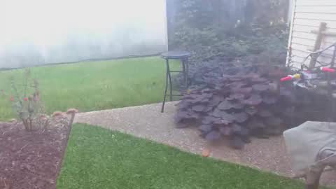 srtxshow online show from October 16, 2025, 1:45 pm