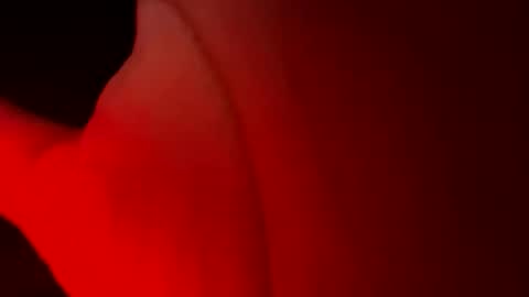staystrokinonya online show from May 17, 2026, 6:11 am