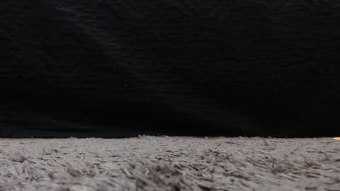 Stefany Brown online show from March 21, 2026, 11:26 am