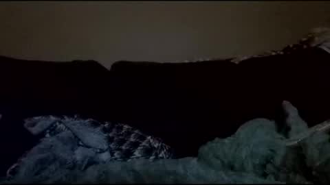 stefy1037 online show from April 18, 2026, 4:38 am